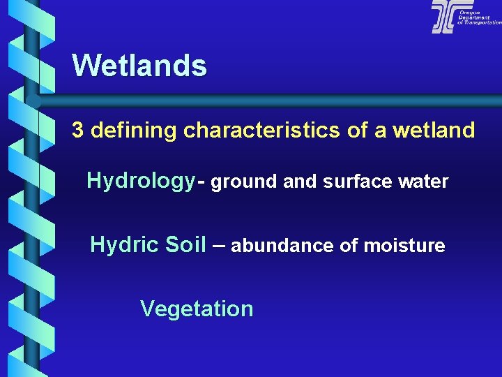 Wetlands 3 defining characteristics of a wetland Hydrology- ground and surface water Hydric Soil