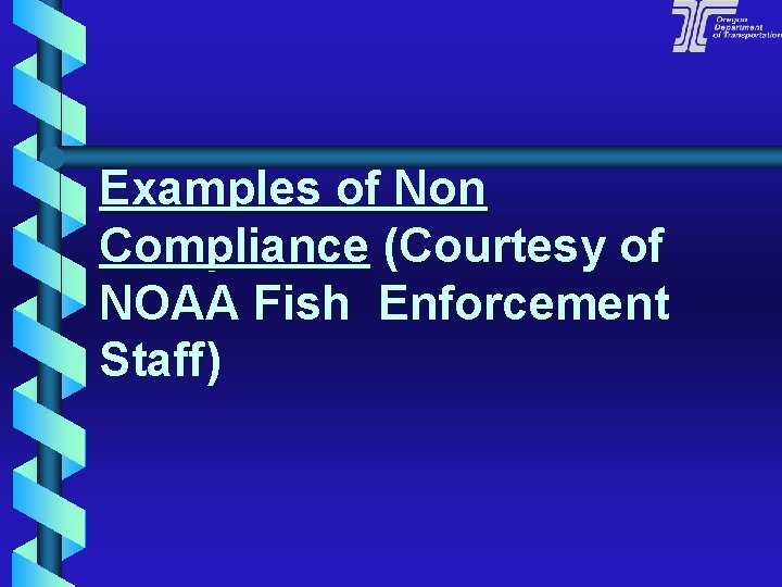 Examples of Non Compliance (Courtesy of NOAA Fish Enforcement Staff) 