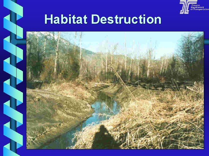 Habitat Destruction 