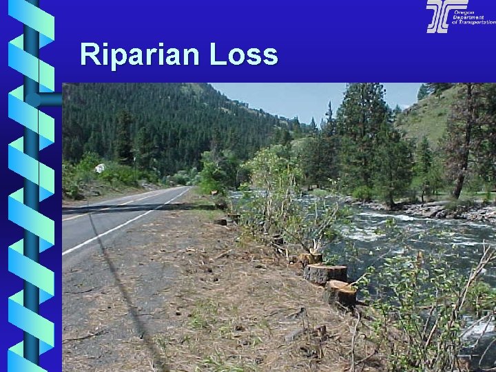 Riparian Loss 