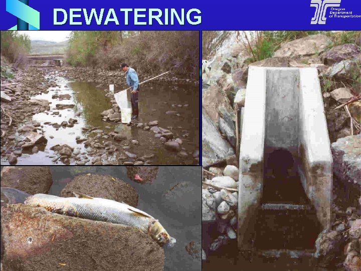 DEWATERING 