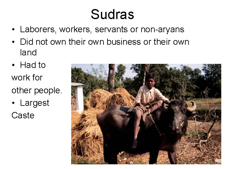 Sudras • Laborers, workers, servants or non-aryans • Did not own their own business