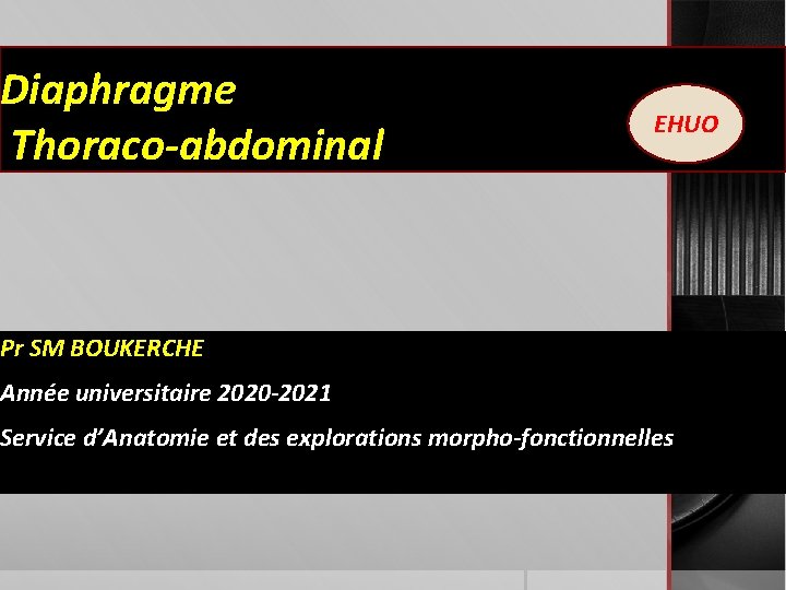 Diaphragme Thoraco-abdominal EHUO Pr SM BOUKERCHE Année universitaire 2020 -2021 Service d’Anatomie et des