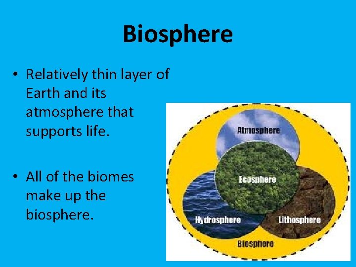 Introduction to Ecology Ecology Study of the interactions