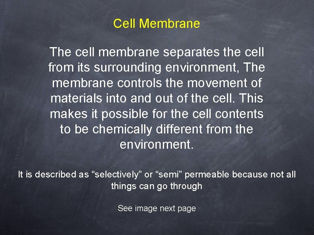 Cell Membrane The cell membrane separates the cell from its surrounding environment, The membrane