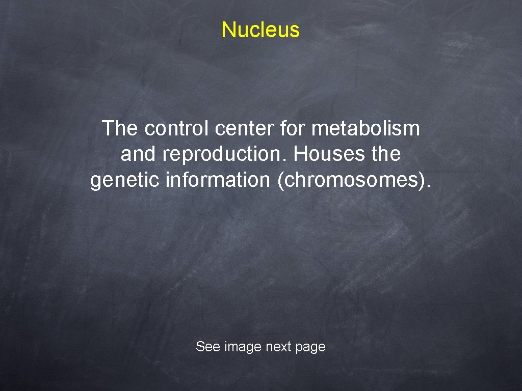 Nucleus The control center for metabolism and reproduction. Houses the genetic information (chromosomes). See