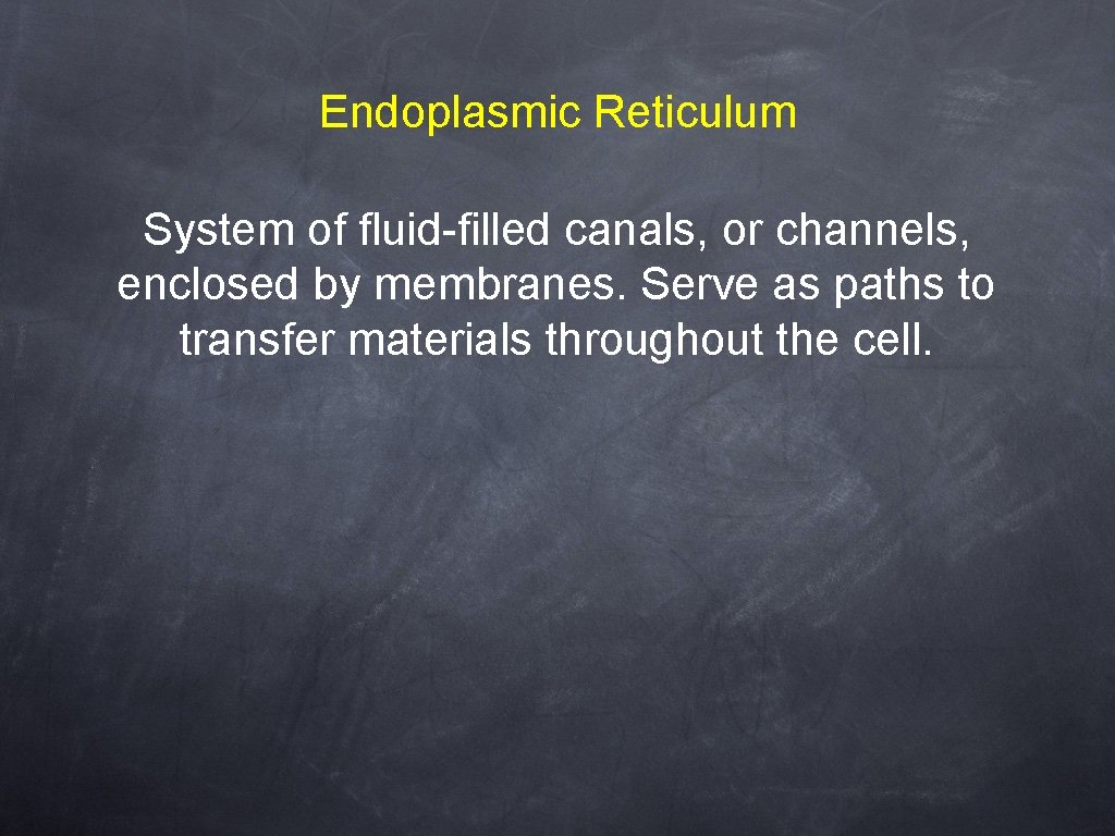 Endoplasmic Reticulum System of fluid-filled canals, or channels, enclosed by membranes. Serve as paths