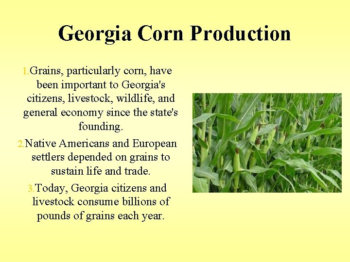 Georgia Corn Production 1. Grains, particularly corn, have been important to Georgia's citizens, livestock, Georgia Corn Production 1. Grains, particularly corn, have been important to Georgia's citizens, livestock,