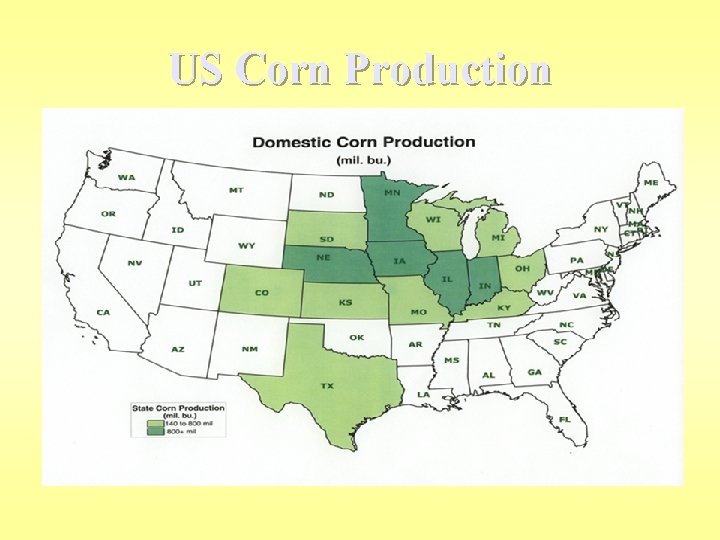 US Corn Production 