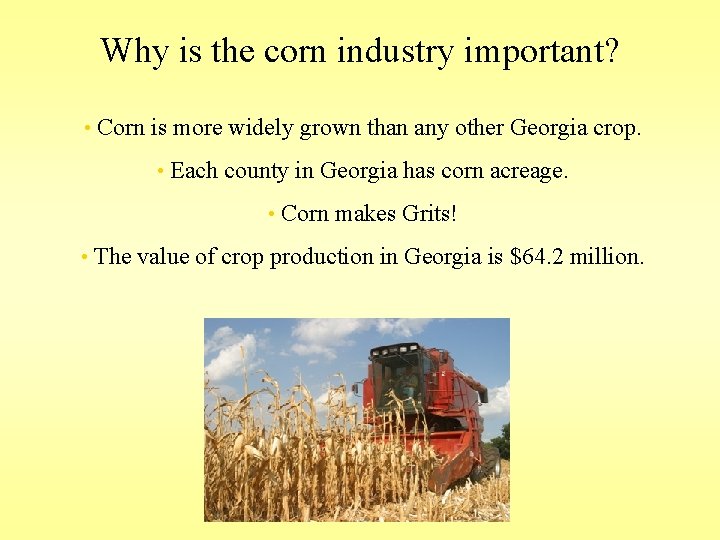 Why is the corn industry important? • Corn is more widely grown than any