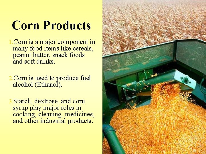 Corn Products 1. Corn is a major component in many food items like cereals, Corn Products 1. Corn is a major component in many food items like cereals,