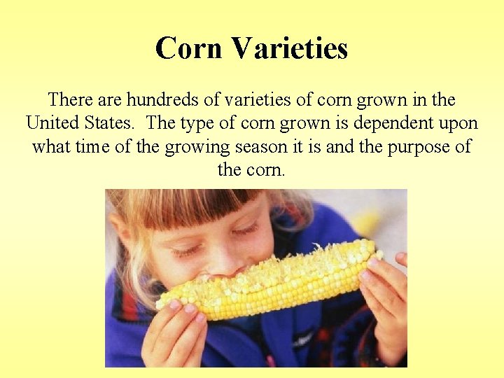 Corn Varieties There are hundreds of varieties of corn grown in the United States.