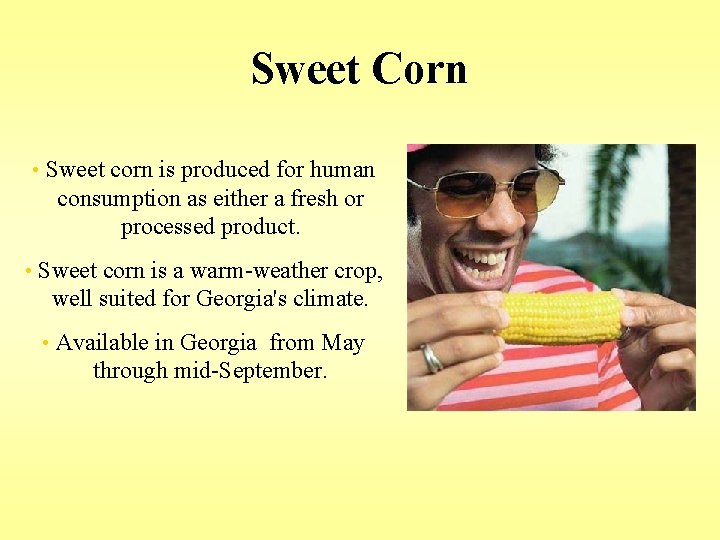 Sweet Corn • Sweet corn is produced for human consumption as either a fresh