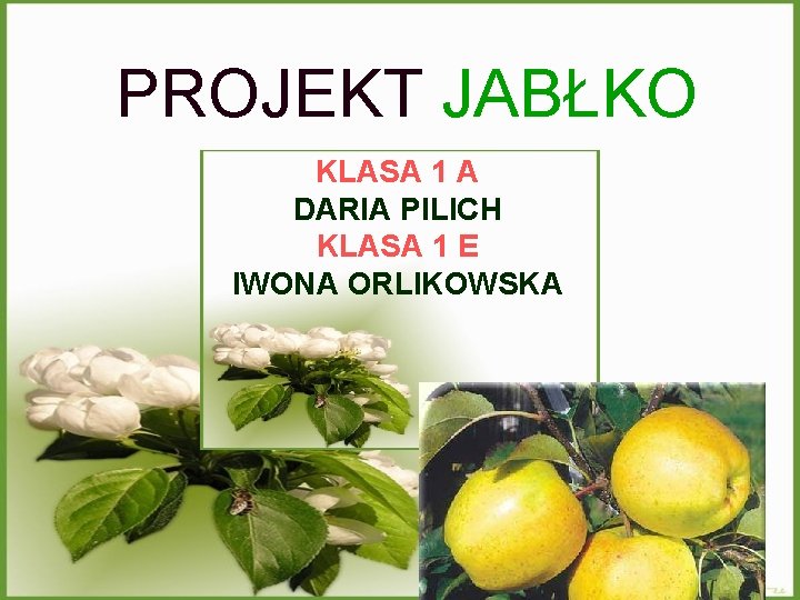 PROJEKT JABŁKO KLASA 1 A DARIA PILICH KLASA 1 E IWONA ORLIKOWSKA 