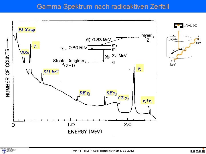 Gamma Spektrum nach radioaktiven Zerfall Pb-Box Pb X-ray γ 1 BSc γ 2 511
