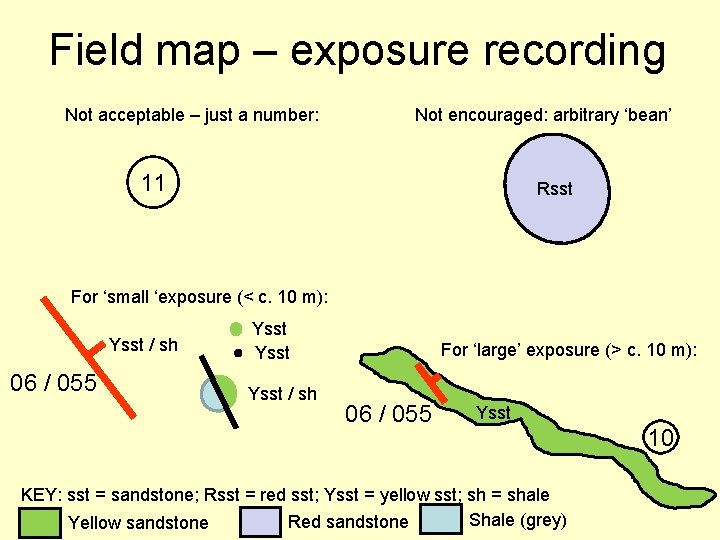 Lake District Field Excursion Mere Moss mapping exercise