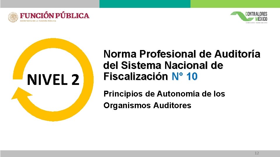 NIVEL 2 Norma Profesional de Auditoría del Sistema Nacional de Fiscalización N° 10 Principios NIVEL 2 Norma Profesional de Auditoría del Sistema Nacional de Fiscalización N° 10 Principios