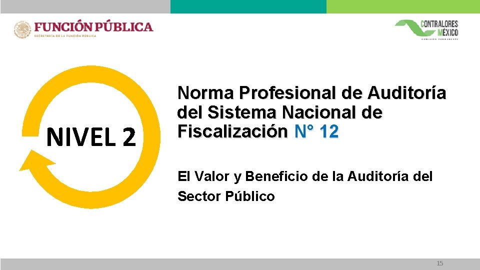 NIVEL 2 Norma Profesional de Auditoría del Sistema Nacional de Fiscalización N° 12 El NIVEL 2 Norma Profesional de Auditoría del Sistema Nacional de Fiscalización N° 12 El