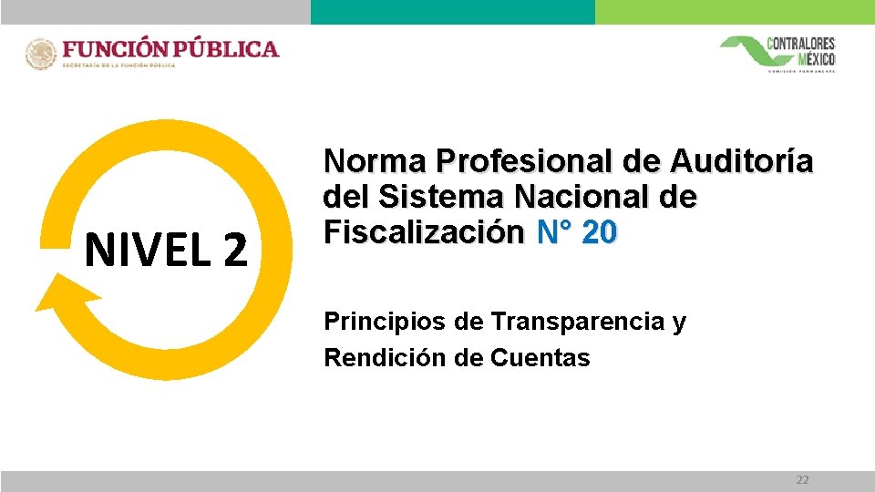 NIVEL 2 Norma Profesional de Auditoría del Sistema Nacional de Fiscalización N° 20 Principios NIVEL 2 Norma Profesional de Auditoría del Sistema Nacional de Fiscalización N° 20 Principios