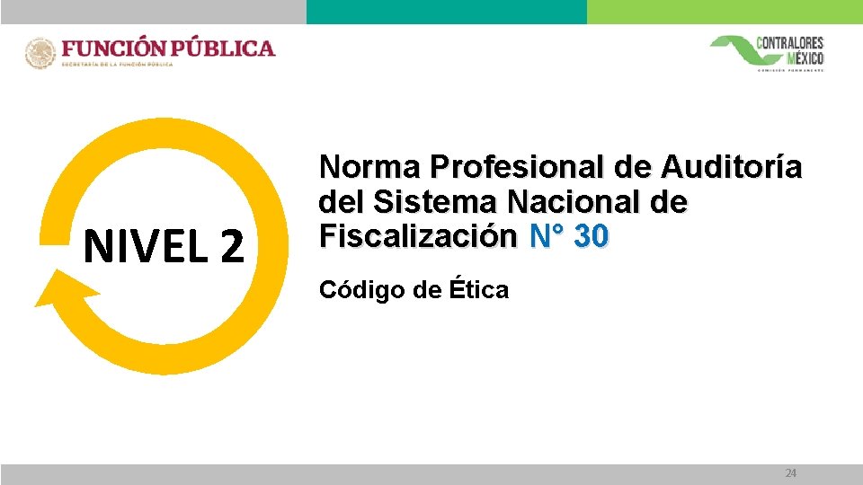 NIVEL 2 Norma Profesional de Auditoría del Sistema Nacional de Fiscalización N° 30 Código NIVEL 2 Norma Profesional de Auditoría del Sistema Nacional de Fiscalización N° 30 Código