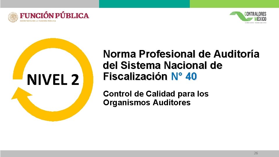 NIVEL 2 Norma Profesional de Auditoría del Sistema Nacional de Fiscalización N° 40 Control NIVEL 2 Norma Profesional de Auditoría del Sistema Nacional de Fiscalización N° 40 Control