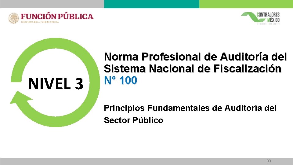 NIVEL 3 Norma Profesional de Auditoría del Sistema Nacional de Fiscalización N° 100 Principios NIVEL 3 Norma Profesional de Auditoría del Sistema Nacional de Fiscalización N° 100 Principios