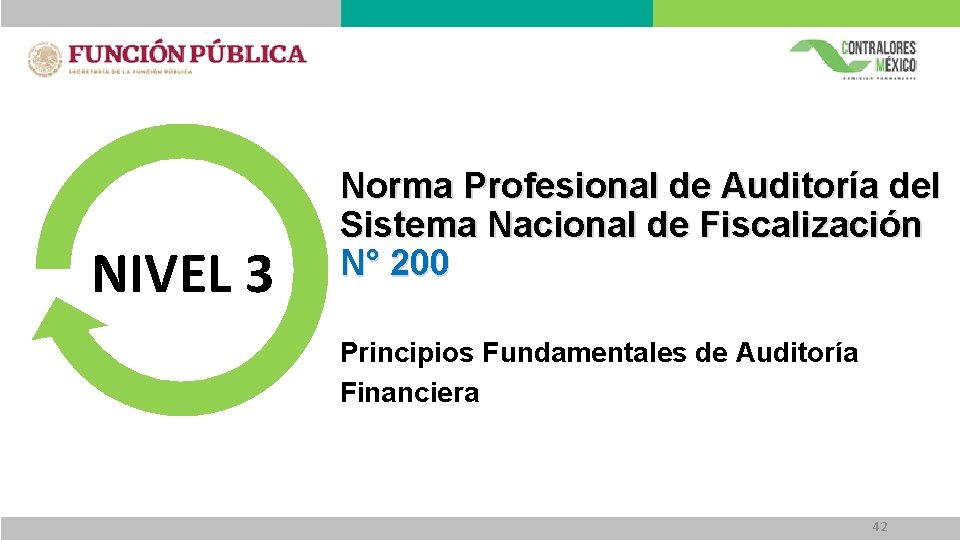 NIVEL 3 Norma Profesional de Auditoría del Sistema Nacional de Fiscalización N° 200 Principios NIVEL 3 Norma Profesional de Auditoría del Sistema Nacional de Fiscalización N° 200 Principios
