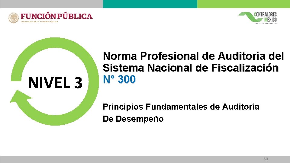 NIVEL 3 Norma Profesional de Auditoría del Sistema Nacional de Fiscalización N° 300 Principios NIVEL 3 Norma Profesional de Auditoría del Sistema Nacional de Fiscalización N° 300 Principios