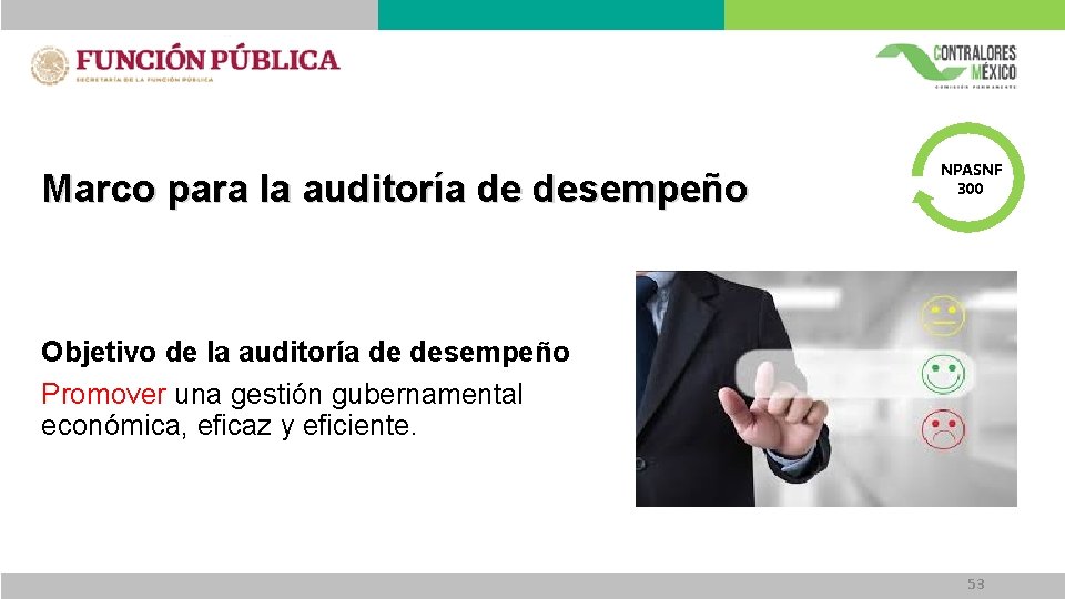 Marco para la auditoría de desempeño NPASNF 300 Objetivo de la auditoría de desempeño Marco para la auditoría de desempeño NPASNF 300 Objetivo de la auditoría de desempeño