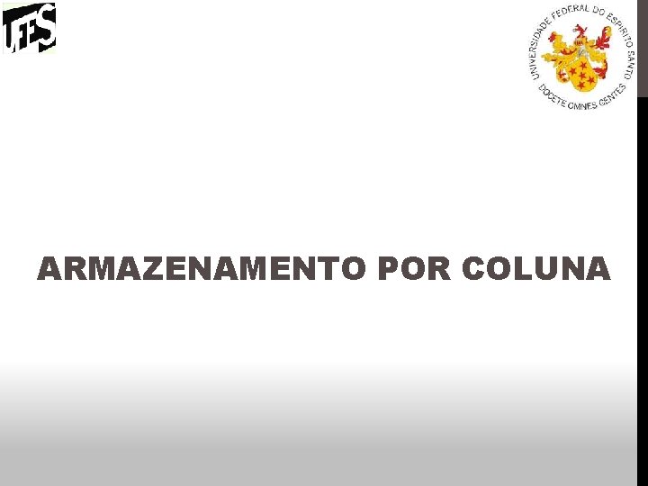 ARMAZENAMENTO POR COLUNA 