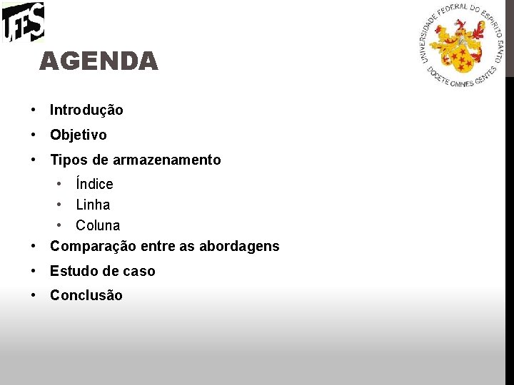 AGENDA • Introdução • Objetivo • Tipos de armazenamento • Índice • Linha •