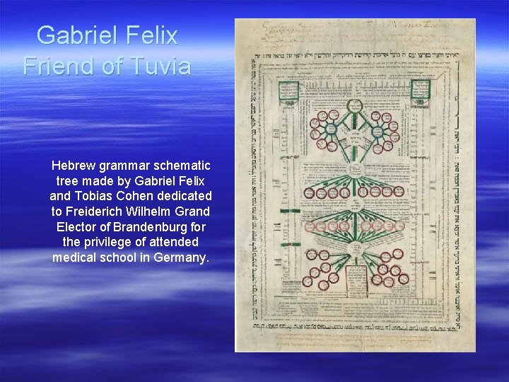 Gabriel Felix Friend of Tuvia Hebrew grammar schematic tree made by Gabriel Felix and