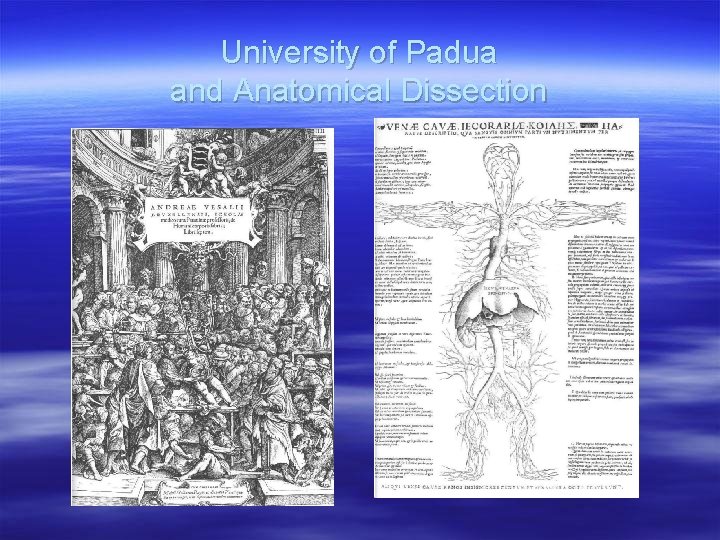 University of Padua and Anatomical Dissection 