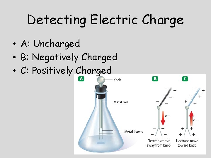 Detecting Electric Charge • A: Uncharged • B: Negatively Charged • C: Positively Charged