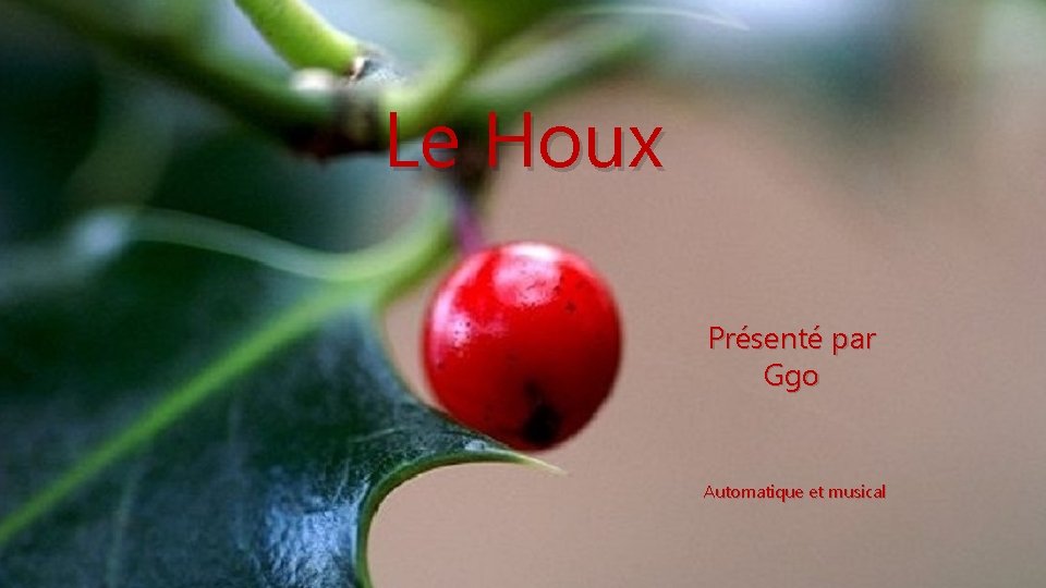 Le Houx Présenté par Ggo Automatique et musical 