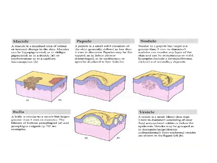 Introduction to clinical dermatology Structure function History and