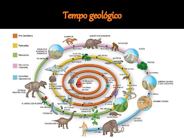 Tempo geológico 