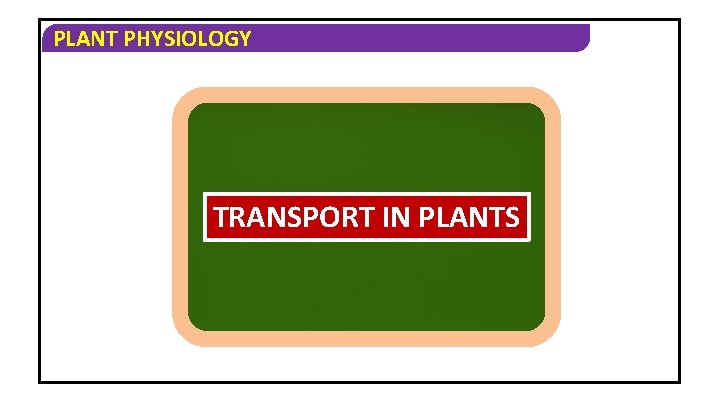 PLANT PHYSIOLOGY TRANSPORT IN PLANTS PLANT PHYSIOLOGY 1