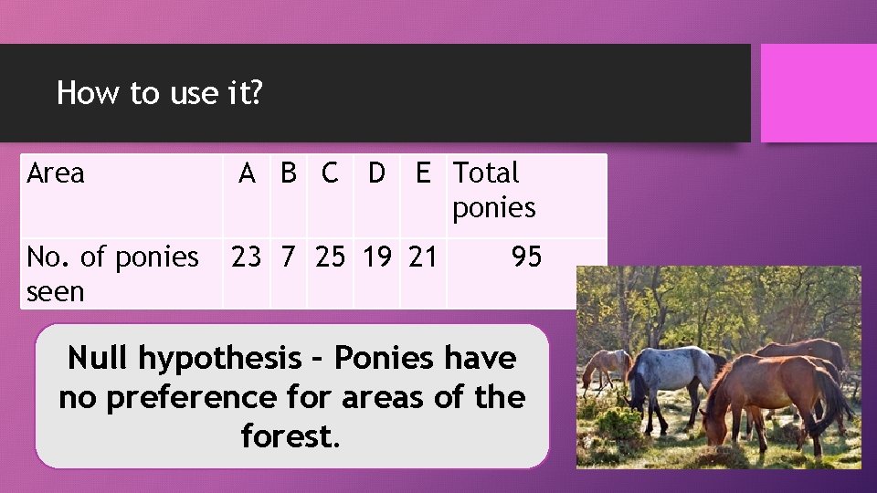 How to use it? Area A B C D E Total ponies No. of