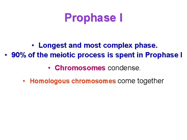 Prophase I • Longest and most complex phase. • 90% of the meiotic process
