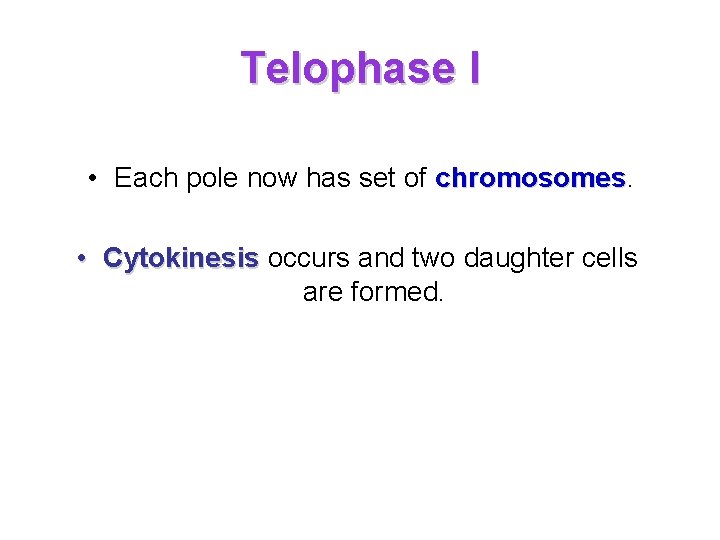 Telophase I • Each pole now has set of chromosomes • Cytokinesis occurs and