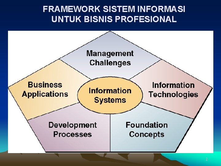 FRAMEWORK SISTEM INFORMASI UNTUK BISNIS PROFESIONAL 2 