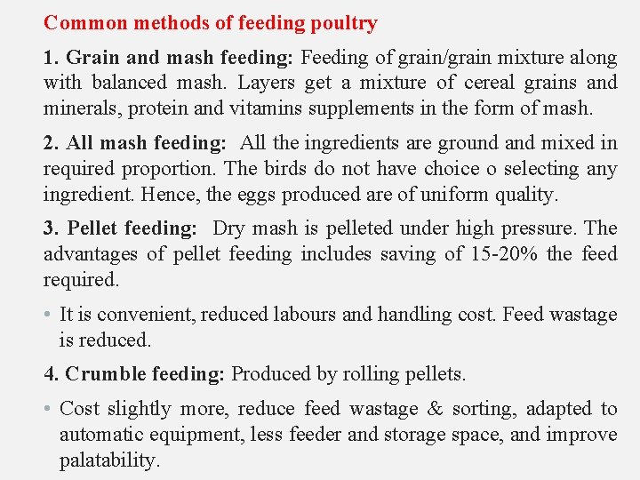 Common methods of feeding poultry 1. Grain and mash feeding: Feeding of grain/grain mixture