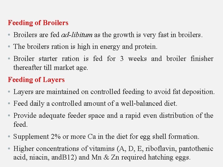 Feeding of Broilers • Broilers are fed ad-libitum as the growth is very fast