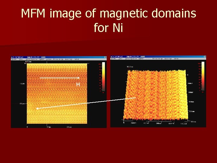 MFM image of magnetic domains for Ni H 