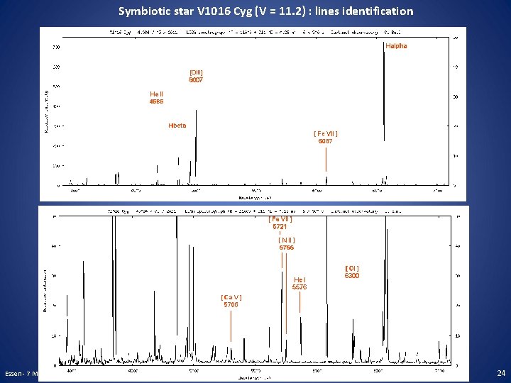 Symbiotic star V 1016 Cyg (V = 11. 2) : lines identification Essen -