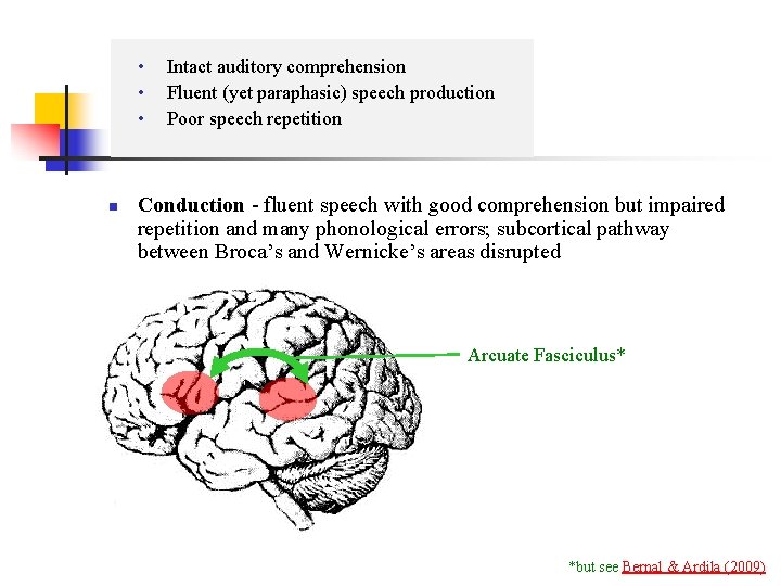  • • • n Intact auditory comprehension Fluent (yet paraphasic) speech production Poor