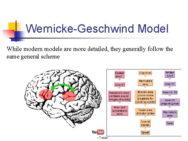 Wernicke-Geschwind Model While modern models are more detailed, they generally follow the same general