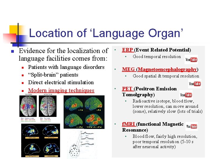 Location of ‘Language Organ’ n Evidence for the localization of language facilities comes from: