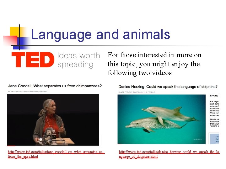 Language and animals For those interested in more on this topic, you might enjoy